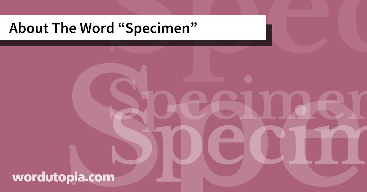 About The Word Specimen