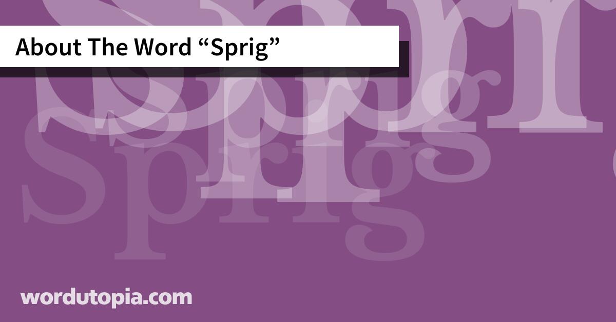 About The Word Sprig