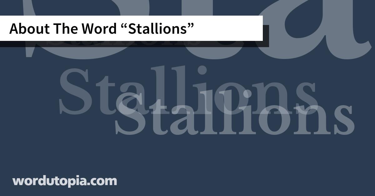About The Word Stallions