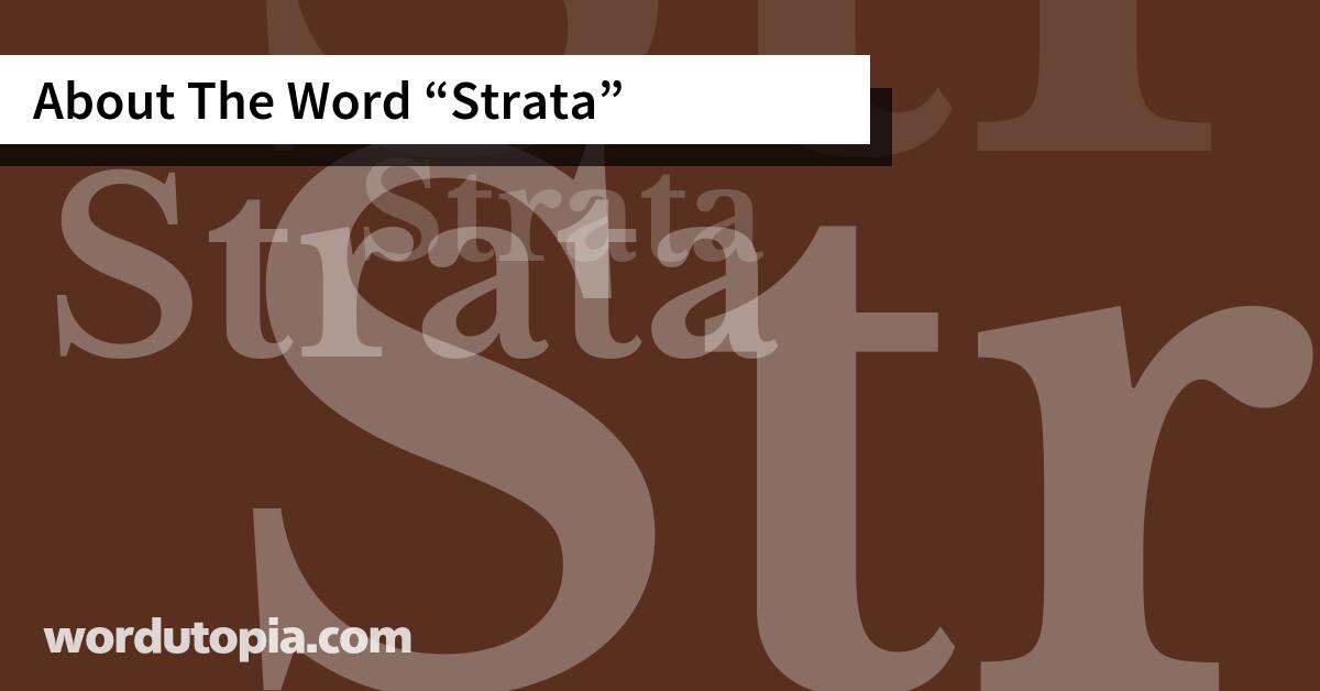 About The Word Strata