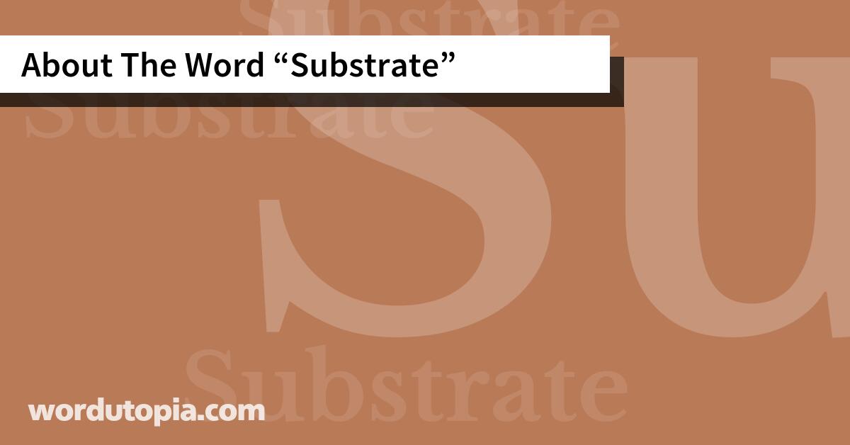 About The Word Substrate