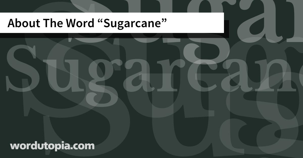 About The Word Sugarcane