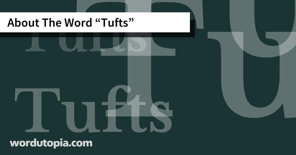 About The Word Tufts