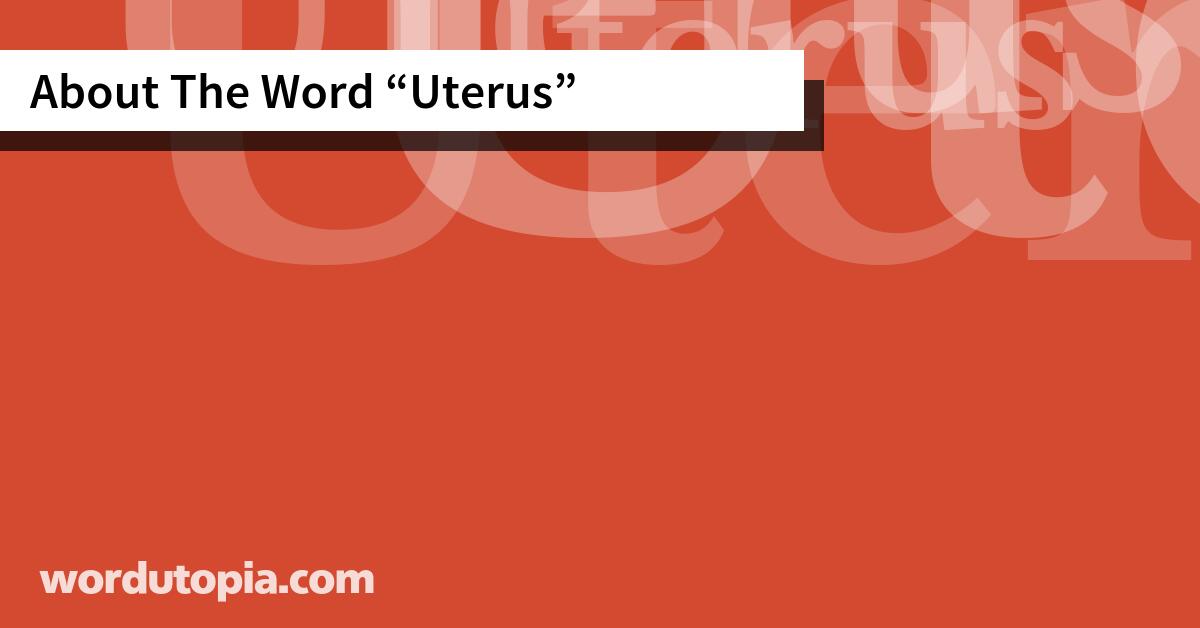 About The Word Uterus