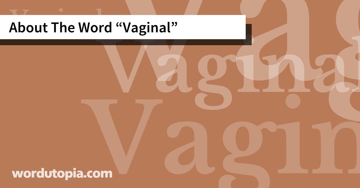 About The Word Vaginal