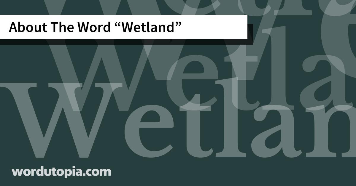 About The Word Wetland