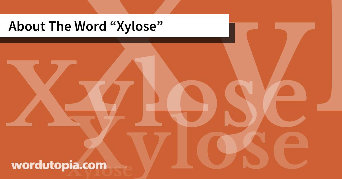 About The Word Xylose