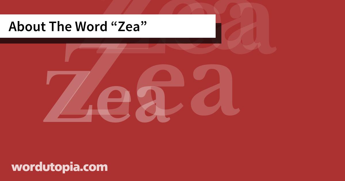 About The Word Zea