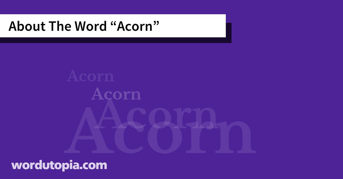 About The Word Acorn
