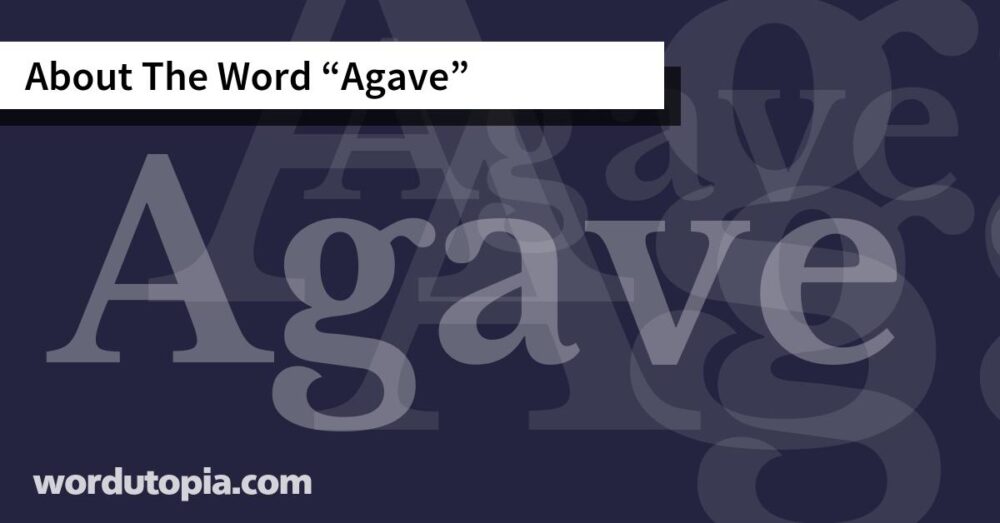 About The Word Agave