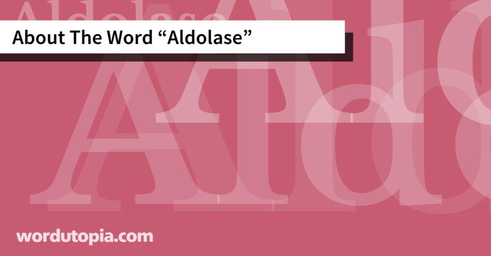 About The Word Aldolase