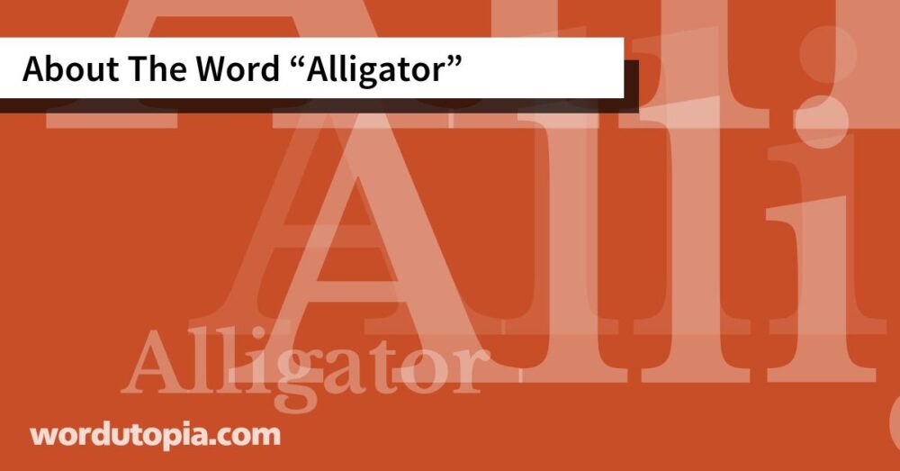 About The Word Alligator