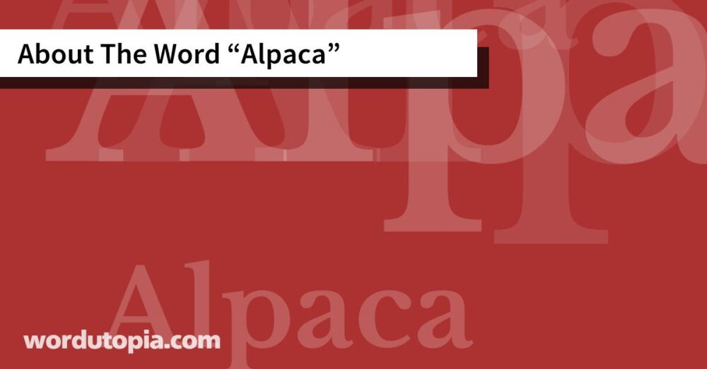 About The Word Alpaca