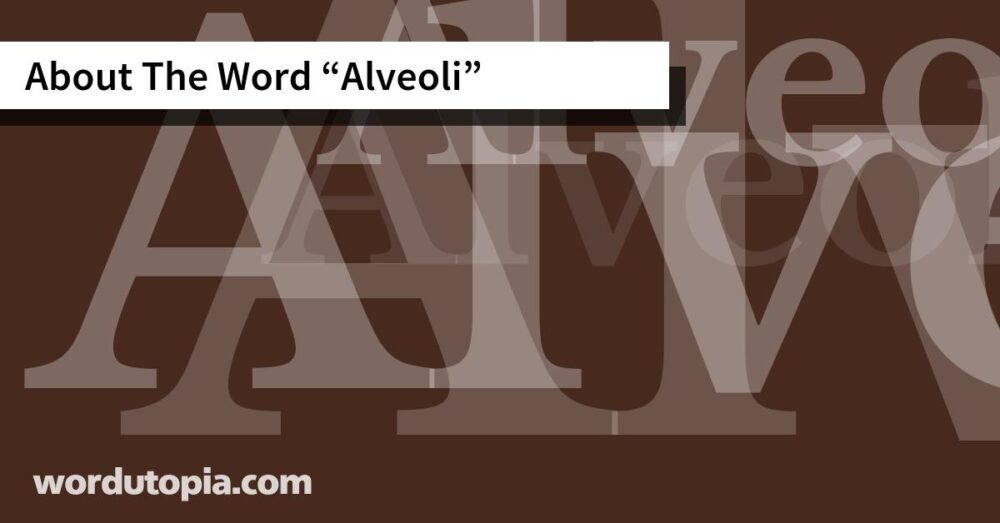 About The Word Alveoli