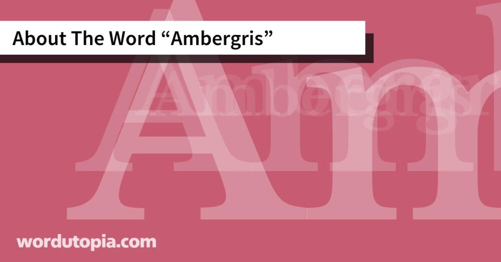 About The Word Ambergris