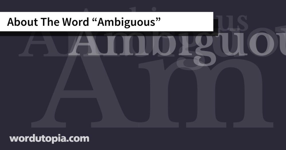 About The Word Ambiguous