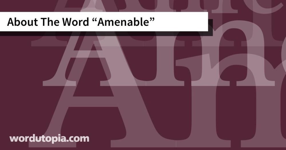 About The Word Amenable