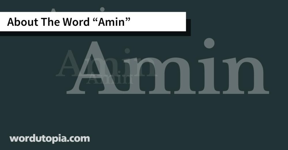 About The Word Amin