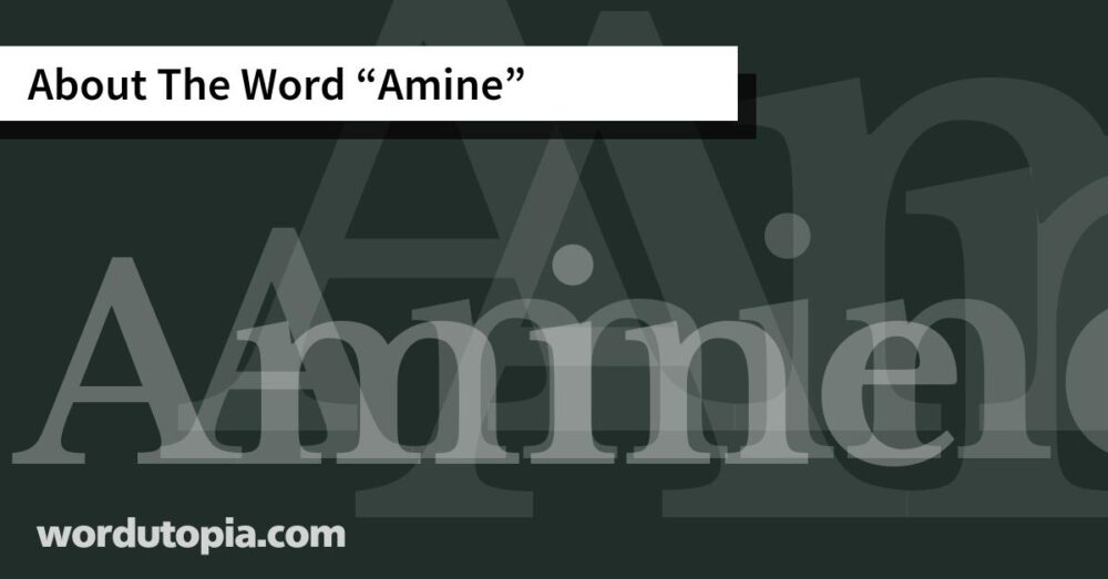 About The Word Amine
