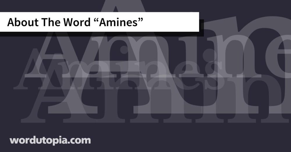 About The Word Amines