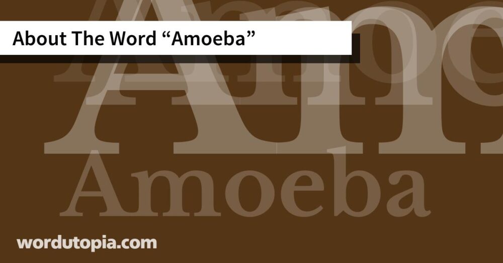 About The Word Amoeba