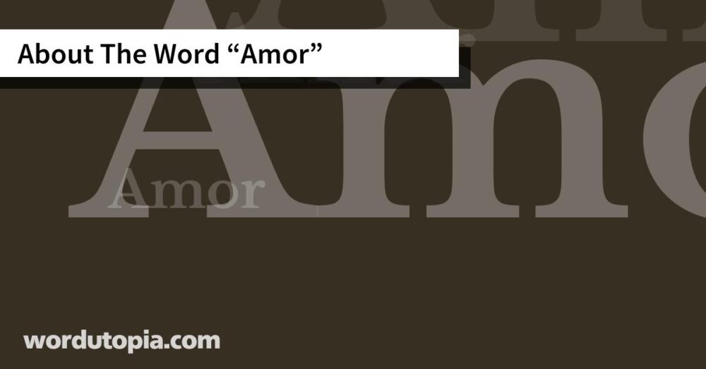 About The Word Amor
