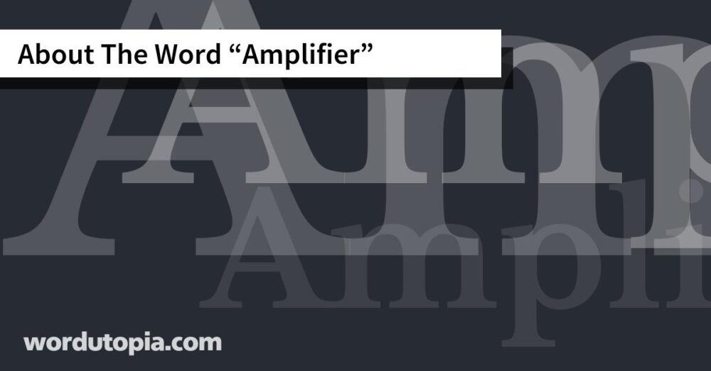 About The Word Amplifier
