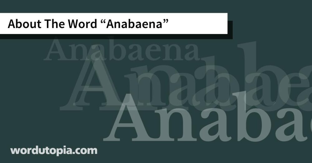 About The Word Anabaena