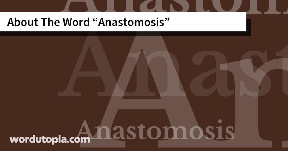 About The Word Anastomosis