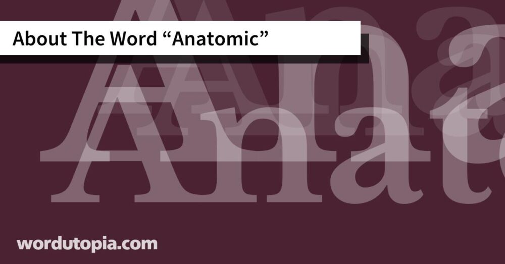 About The Word Anatomic