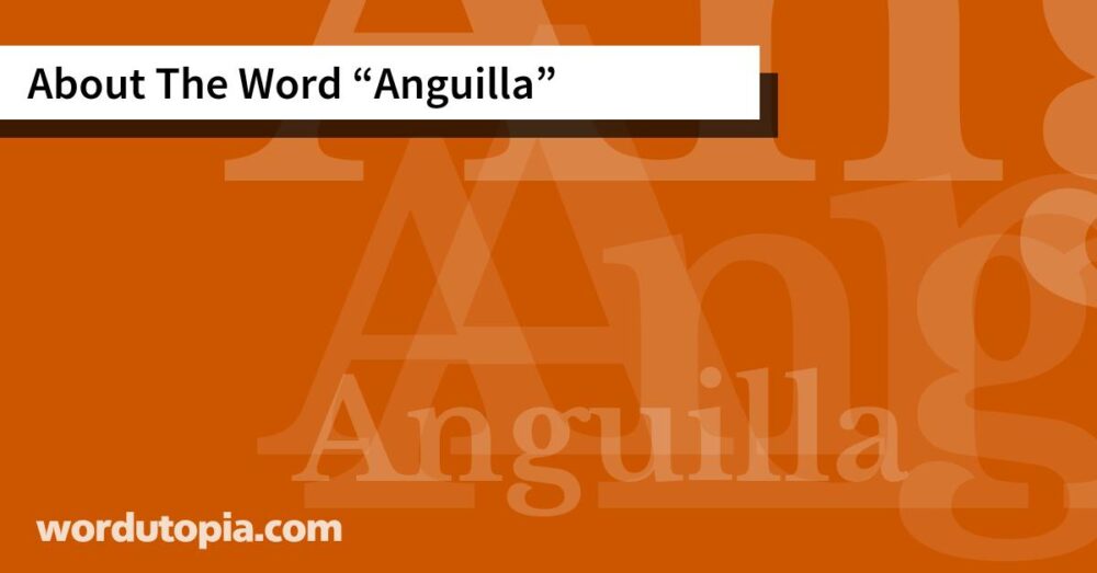 About The Word Anguilla
