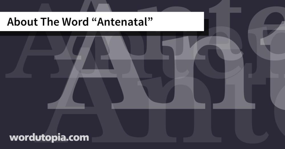 About The Word Antenatal
