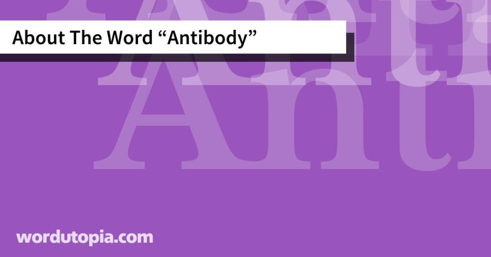 About The Word Antibody