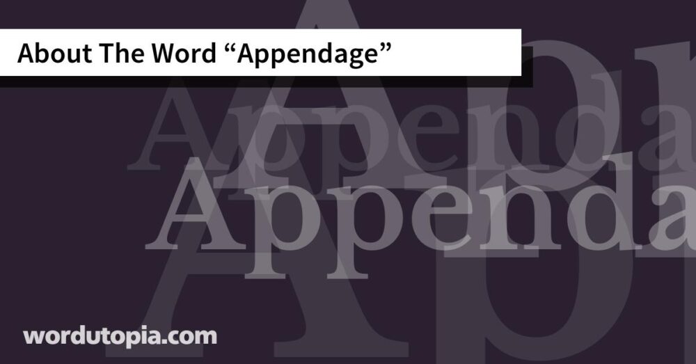 About The Word Appendage