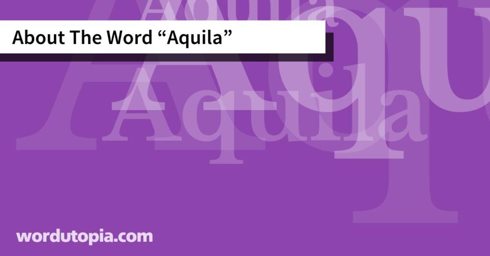 About The Word Aquila