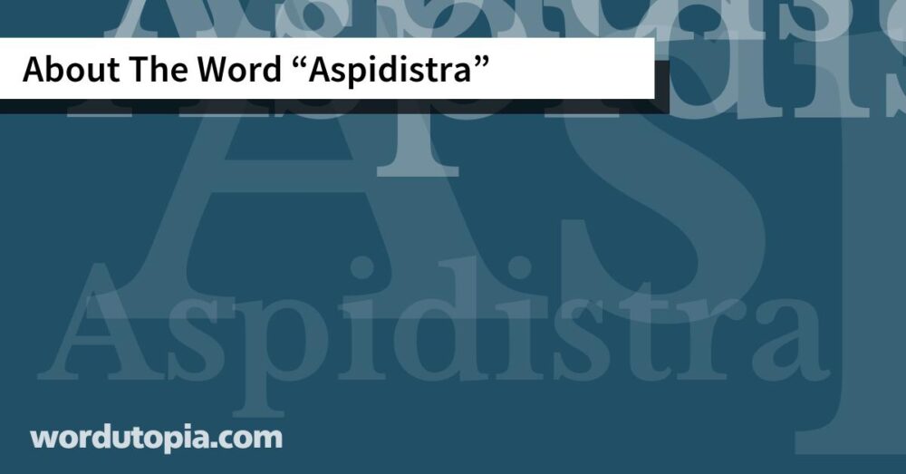 About The Word Aspidistra