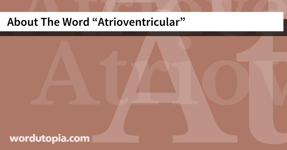 About The Word Atrioventricular