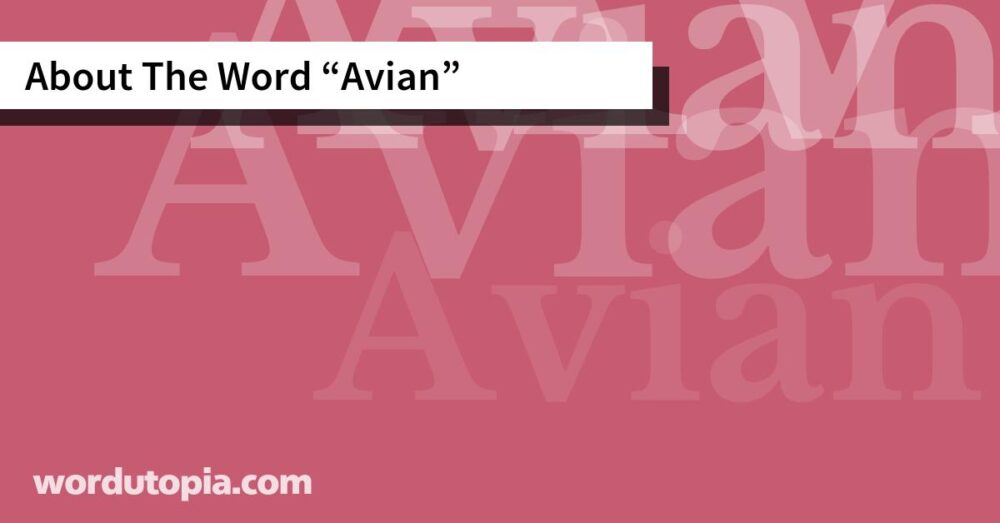 About The Word Avian