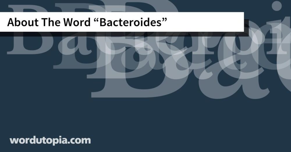 About The Word Bacteroides