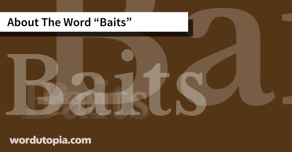 About The Word Baits