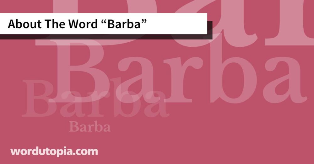 About The Word Barba