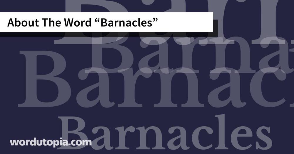 About The Word Barnacles