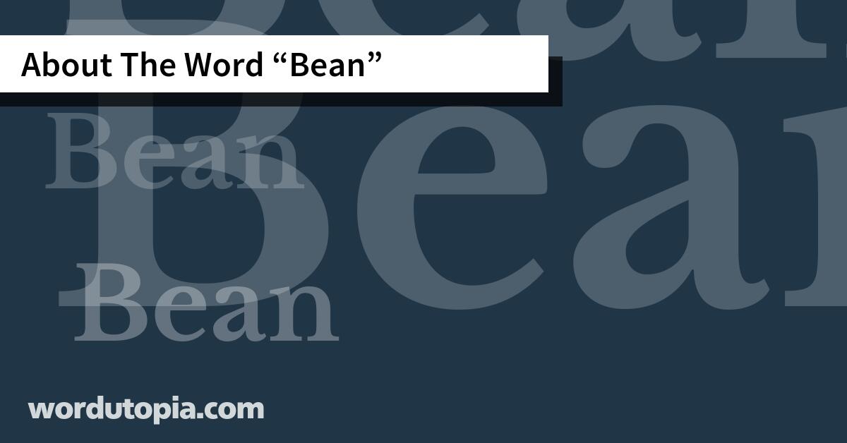 About The Word Bean