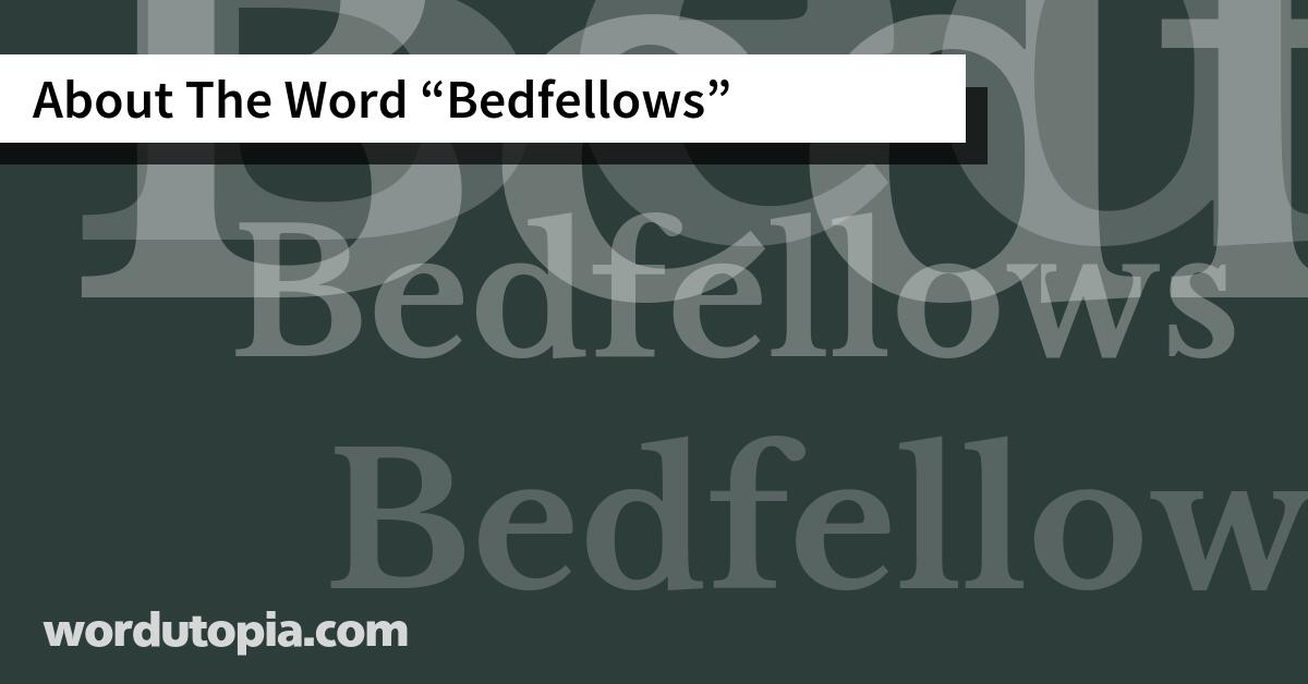 About The Word Bedfellows