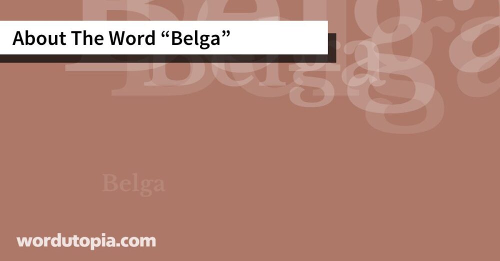 About The Word Belga