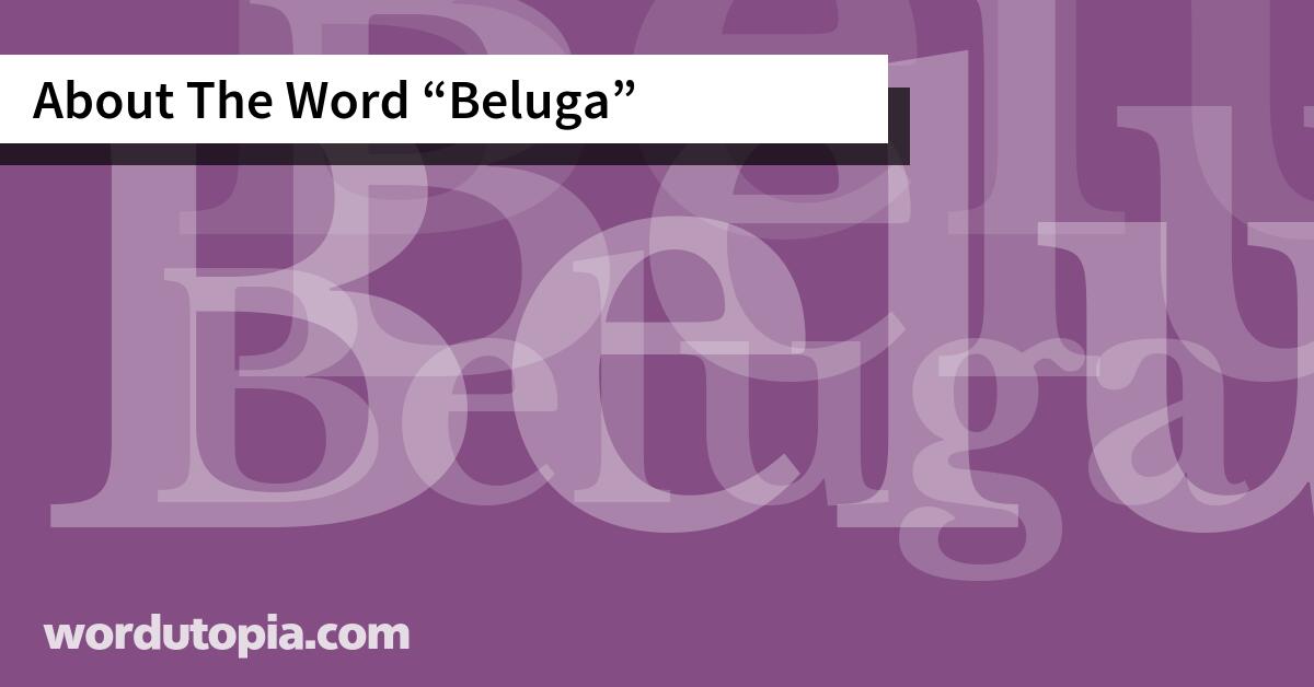 About The Word Beluga