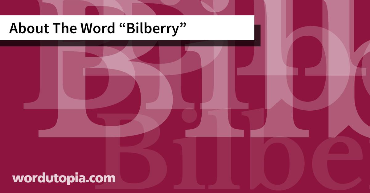 About The Word Bilberry