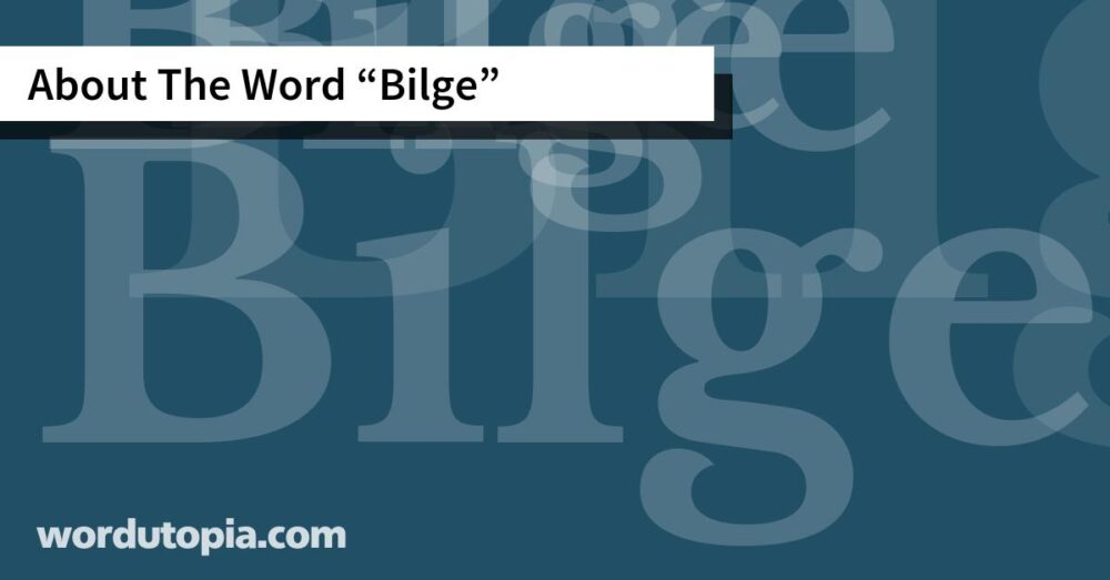 About The Word Bilge