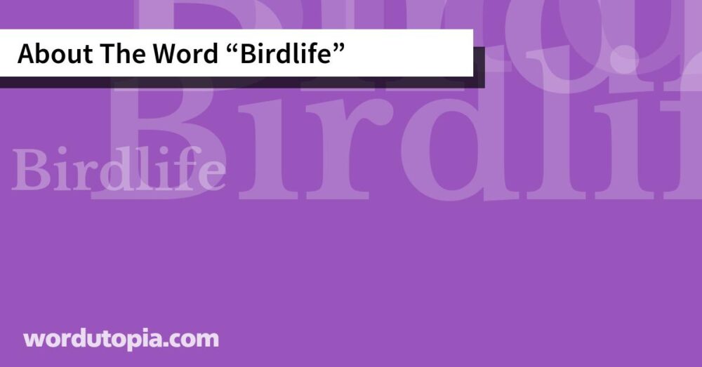 About The Word Birdlife