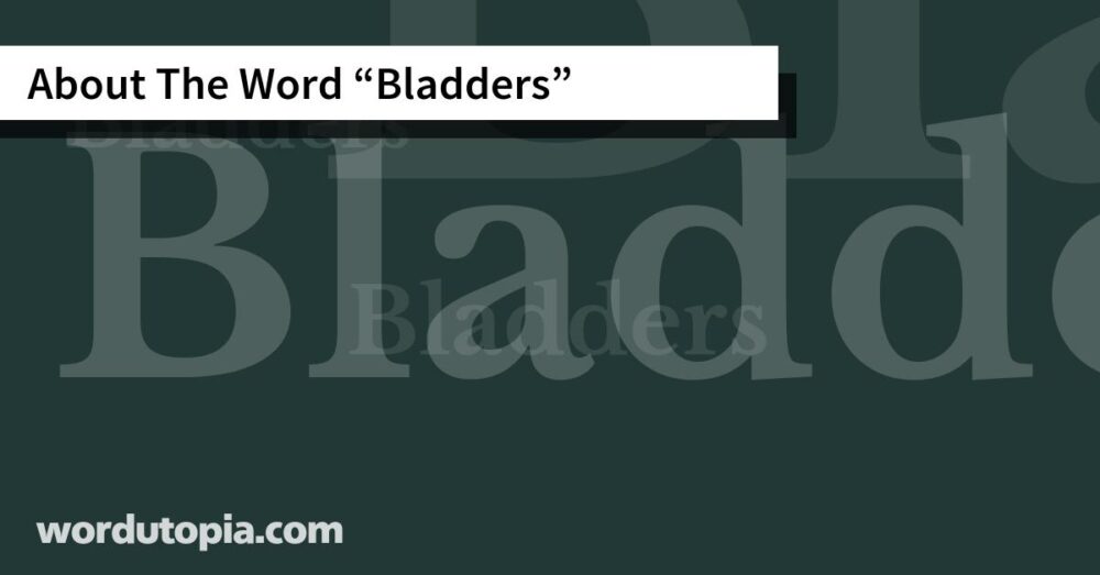 About The Word Bladders